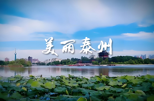 全球十大赌场老品牌网站副市长孙群谈