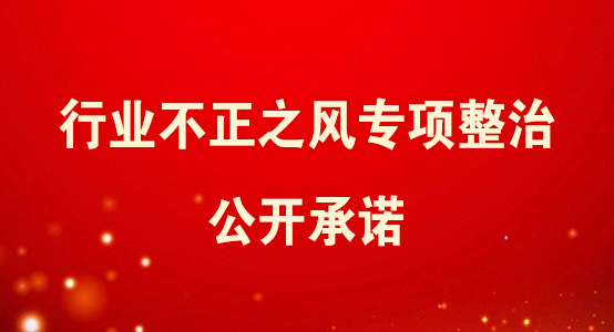 行业不正之风专项整治正规网赌老品牌网站承诺
