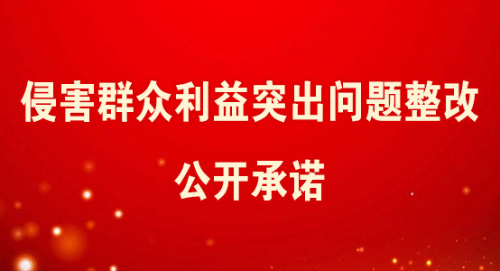 侵害群众利益突出问题整改正规网赌老品牌网站承诺
